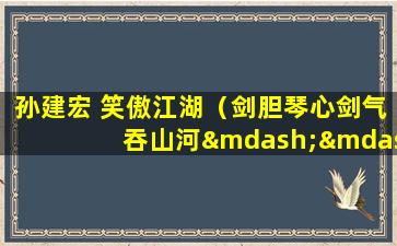 孙建宏 笑傲江湖（剑胆琴心剑气吞山河——孙建宏笑傲江湖）